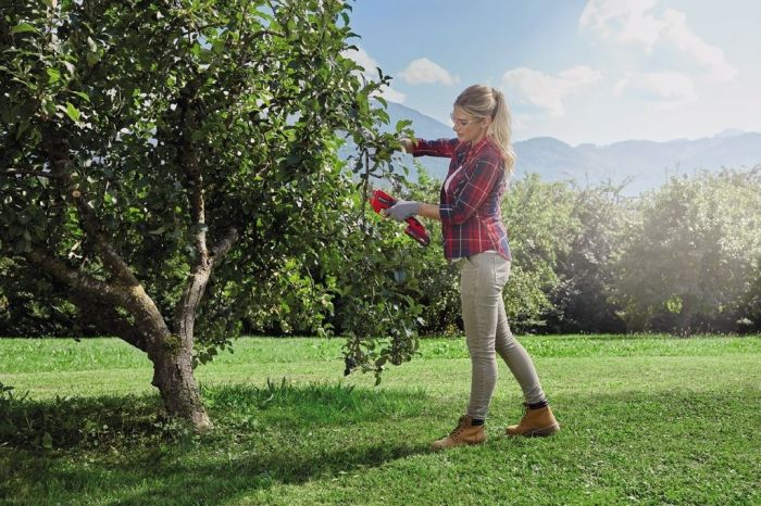 Акция! Набор секатор аккумуляторный Einhell GE-LS 18 Li-Solo + зарядное устройство и аккумулятор 18V 2,5 Ah (3408300,4512097)