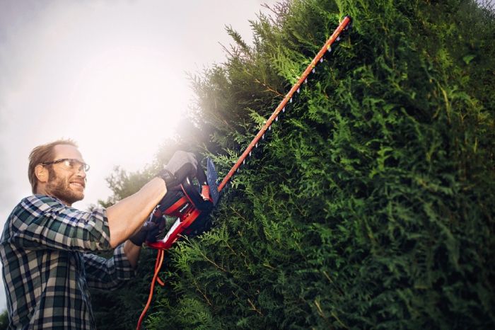 Кусторез электрический Einhell GC-EH 6055/1 (3403320)