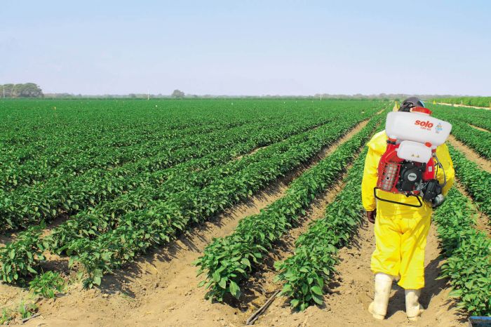 Обприскувач бензиновий ранцевий SOLO 423