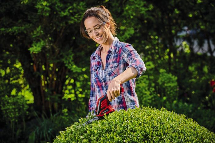 Ножиці акумуляторні для трави, Einhell GC-CG 3,6/70 Li WT (3410365)  3.6 В, акумулятор 2 Аг Li-Ion, насадка для трави (70 мм) і кущів (110 мм)