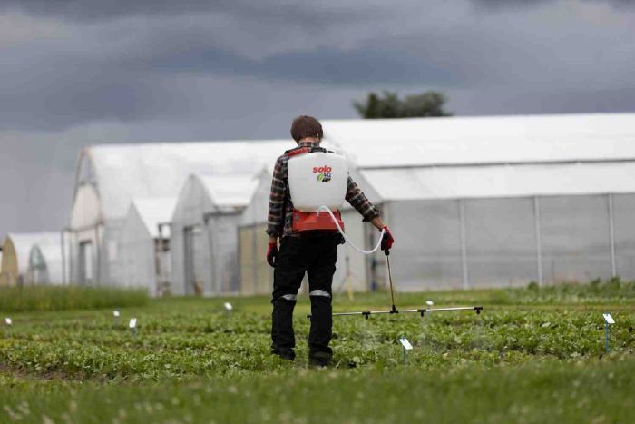 Обприскувач акумуляторний ранцевий SOLO 442NEW