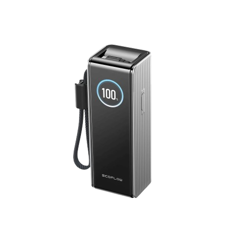 Павербанк EcoFlow RAPID Power Bank з кабелями 25000mAh сріблястий