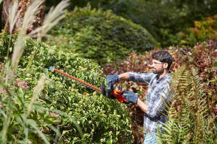 Кущоріз електричний BLACK+DECKER BEHTS401