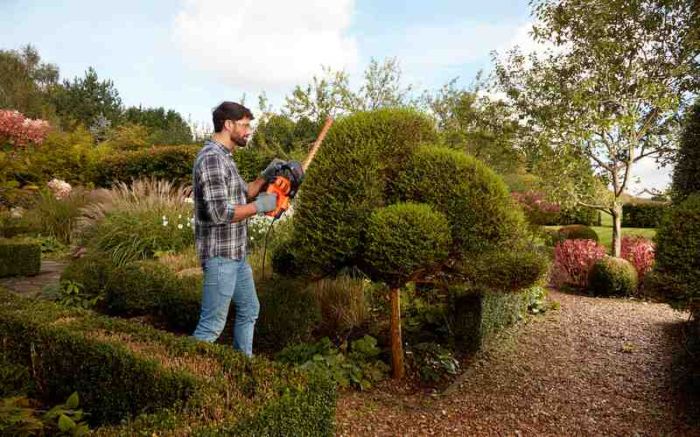 Кущоріз електричний BLACK+DECKER BEHTS401