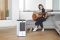 Кондиціонер мобільний BLACK+DECKER BXAC50E
