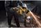 Шліфмашина кутова - болгарка акумуляторна безщіткова DeWALT DCG460X2