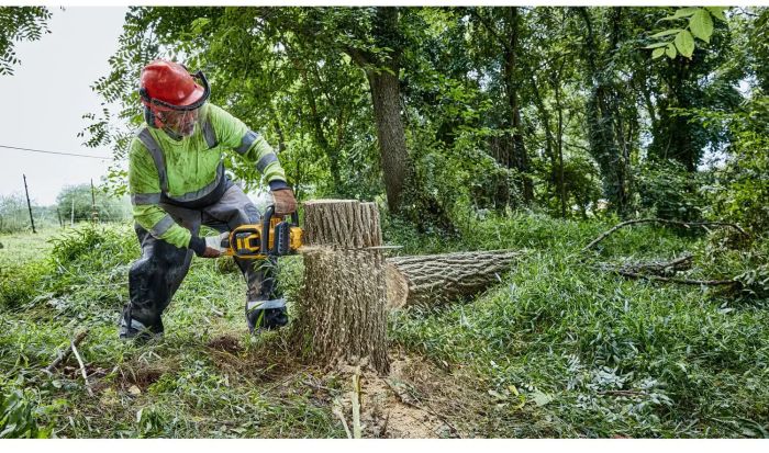 Пила ланцюгова акумуляторна безщіткова DeWALT DCMCS574N