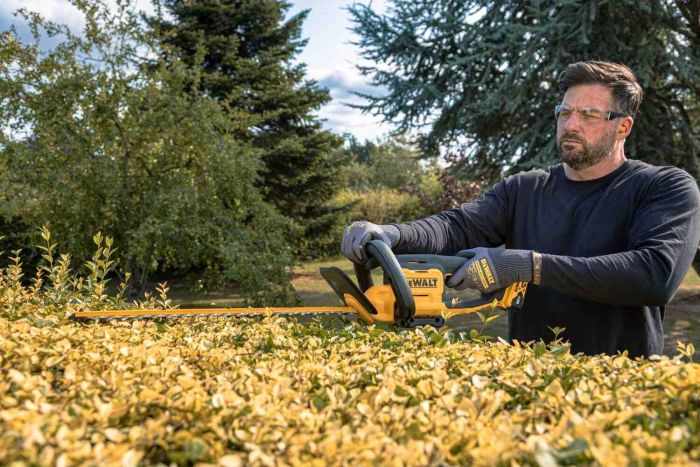 Кущоріз акумуляторний DeWALT DCMHT562P1