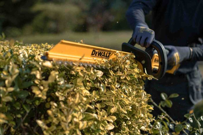 Кущоріз акумуляторний DeWALT DCMHT562P1