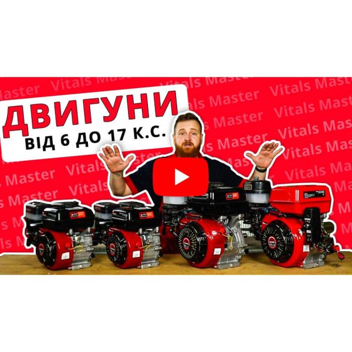 Двигун бензиновий Vitals Master QBM 17.0ke