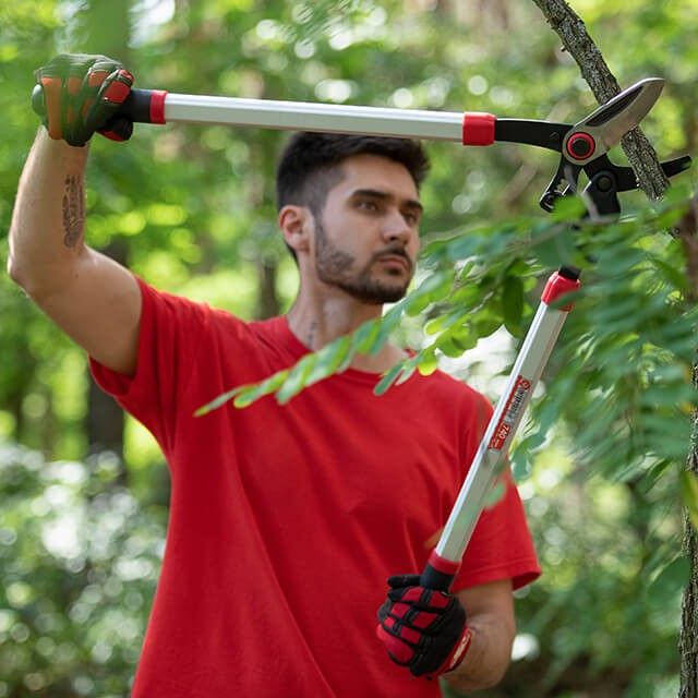 Сучкорез садовый для обрезки веток, 730 мм INTERTOOL FT-1112