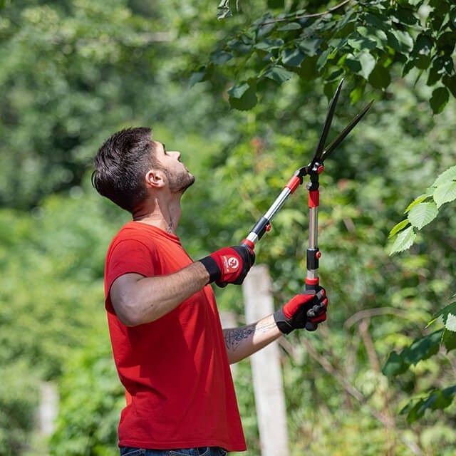 Ножницы садовые с телескопическими ручками, 600-710 мм INTERTOOL FT-1117