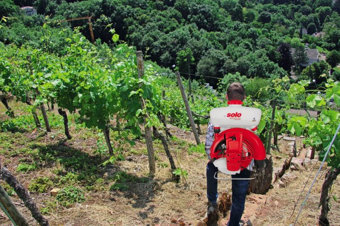 Обприскувач бензиновий ранцевий SOLO MASTER452