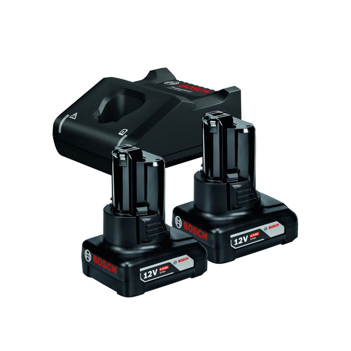 Набір Bosch GAL 12V-40 + GBA 6,0Аг Professional (1600A01B20)