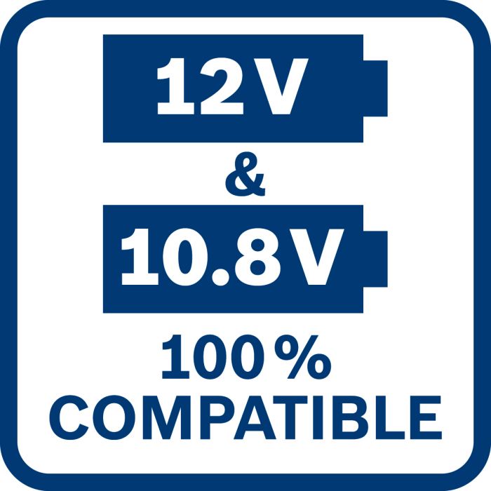 Набір Bosch GAL 12V-40 + GBA 6,0Аг Professional (1600A01B20)