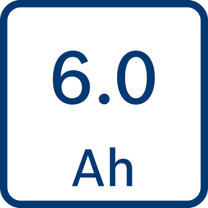 Набір Bosch GAL 12V-40 + GBA 6,0Аг Professional (1600A01B20)