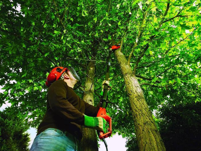 Висоторіз електричний зі штангою BLACK+DECKER PS7525