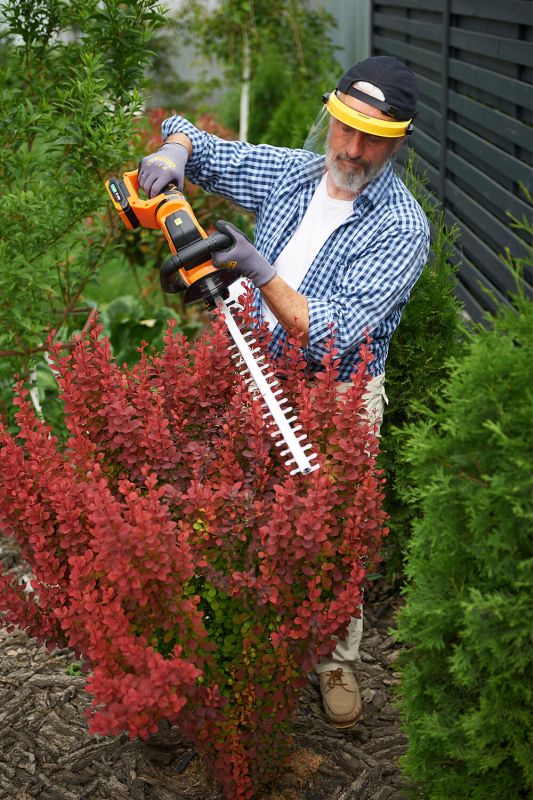 Кущоріз акумуляторний SEQUOIA SBHT2020T-QV